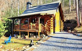 The Little Wolf Cabin